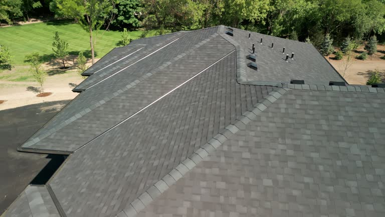 Best Asphalt Shingle Roofing  in Alamo Heights, TX